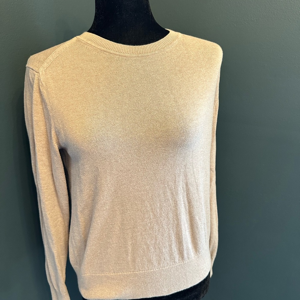 Everlane Sweater